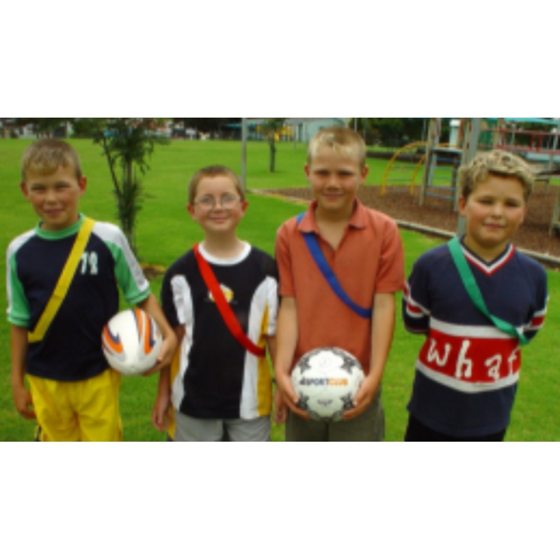 Team sashes|Blue|Green|Yellow|Red