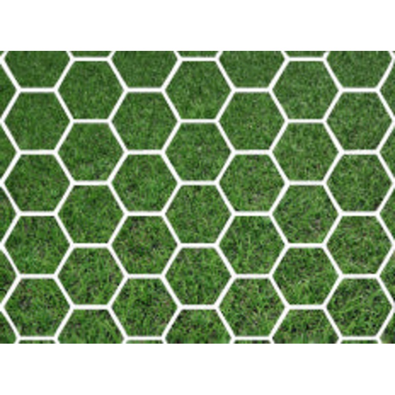 Box Goal Net